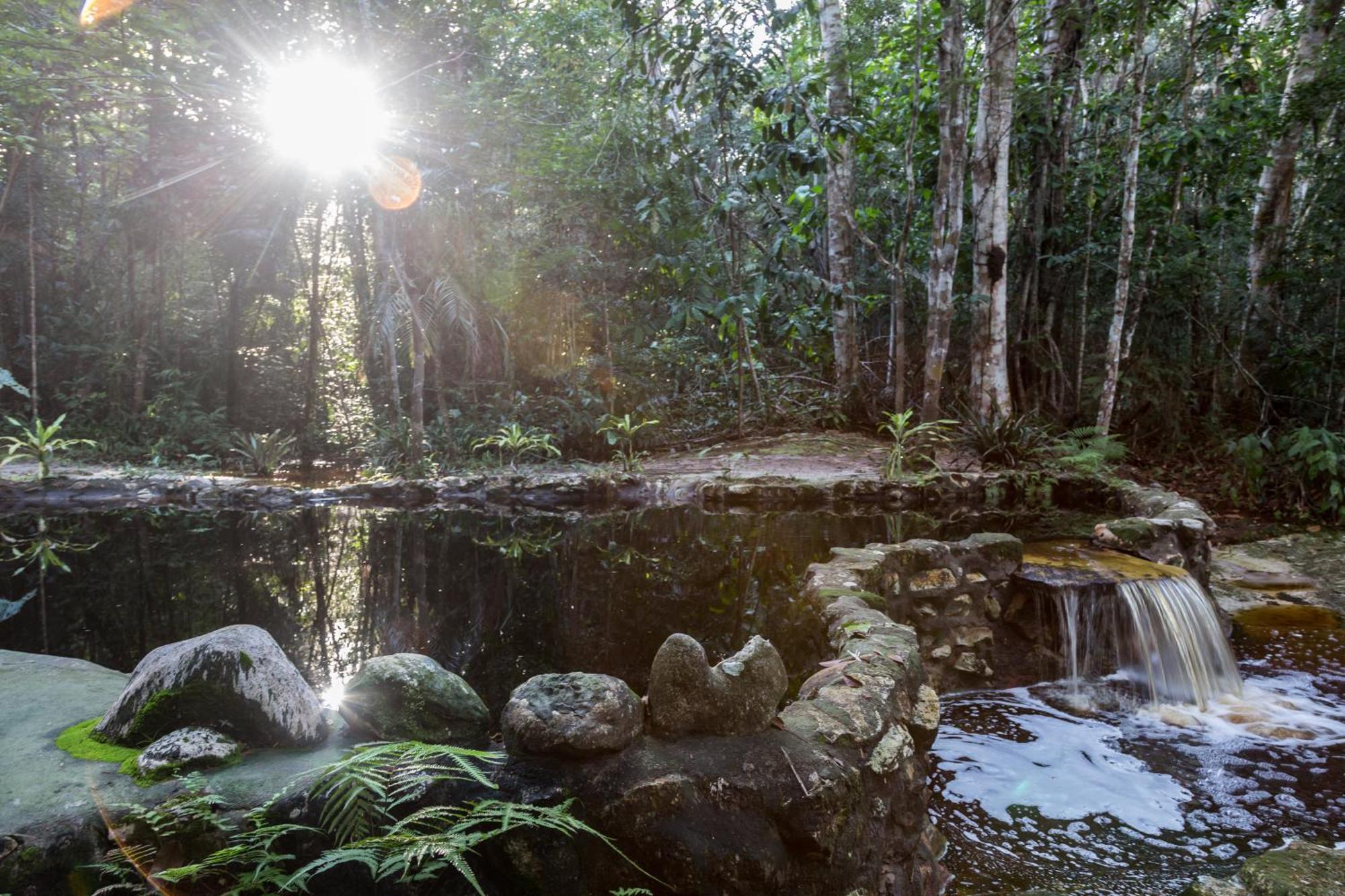 Amazon Ecopark Jungle Lodge Manaus Esterno foto