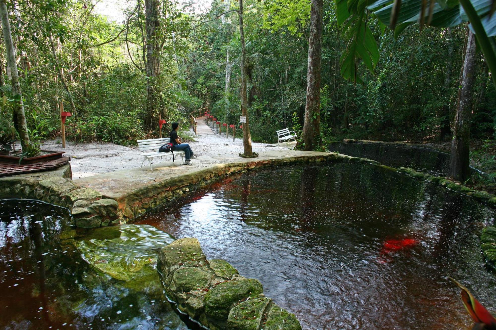 Amazon Ecopark Jungle Lodge Manaus Esterno foto